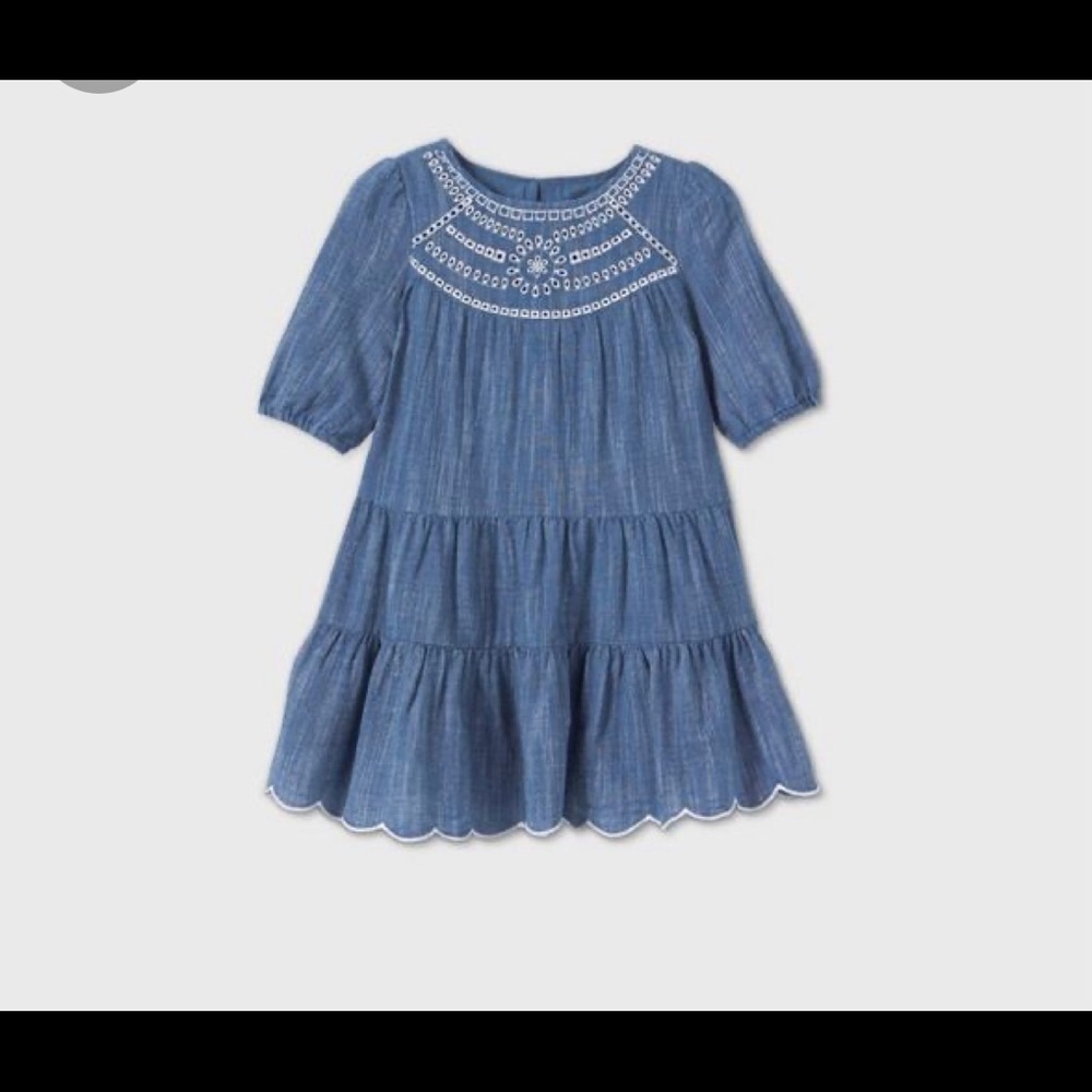 💰SALE💰Denim Embroidered Dress